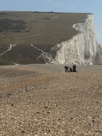 Image of the Seven Sisters Cliffs landscape from Cuckmere Haven