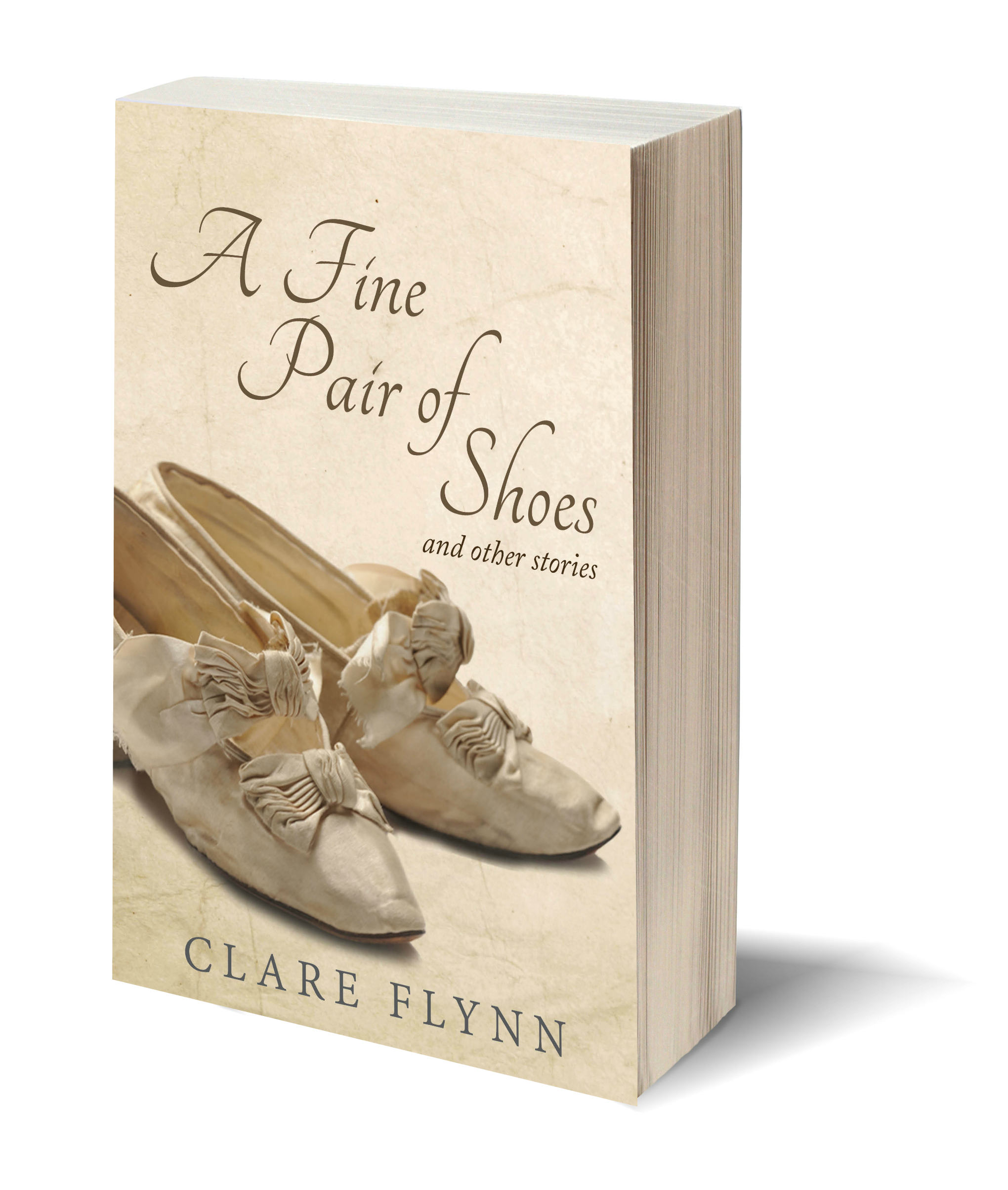 A Fine Pair of Shoes 3 D Book Cover