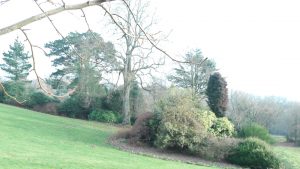 Image of Outside Grounds at Standen