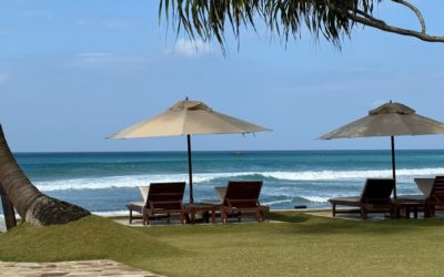A Change is as Good as a Rest – Writing and Research Trip to Sri Lanka